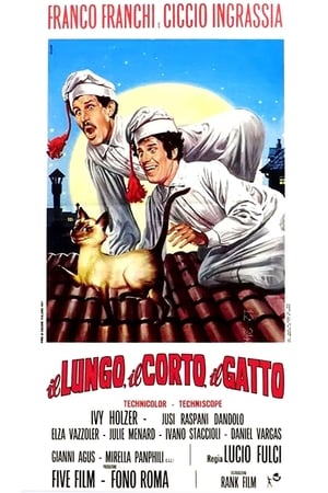 Il lungo, il corto, il gatto